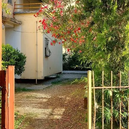 Apartment Al Mare - Mali I Robit- Golem *