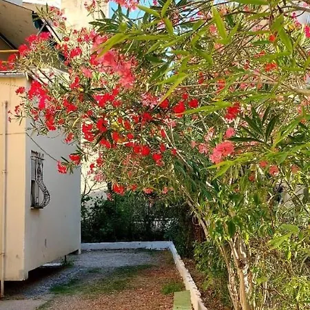 Al Mare - Mali I Robit- Golem